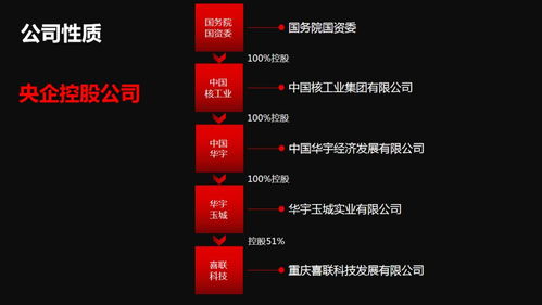 新囍聯新產品新模式渠道商啟動大會圓滿召開，開啟互聯網數據服務新篇章